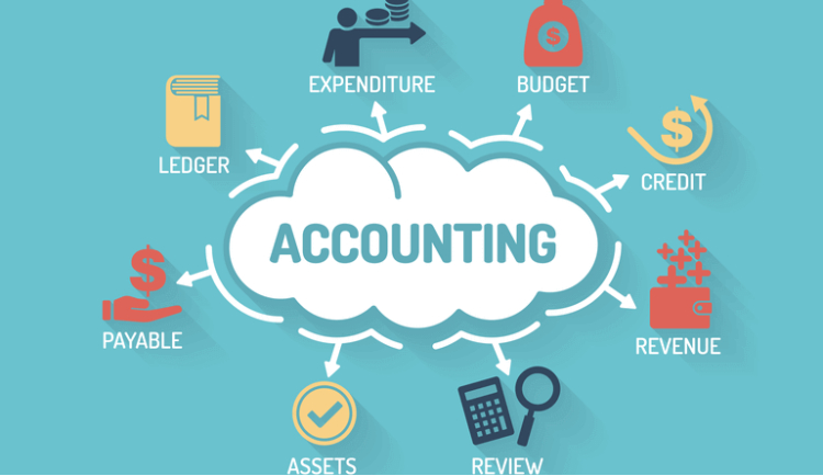 Accounting Software for MSMEs 